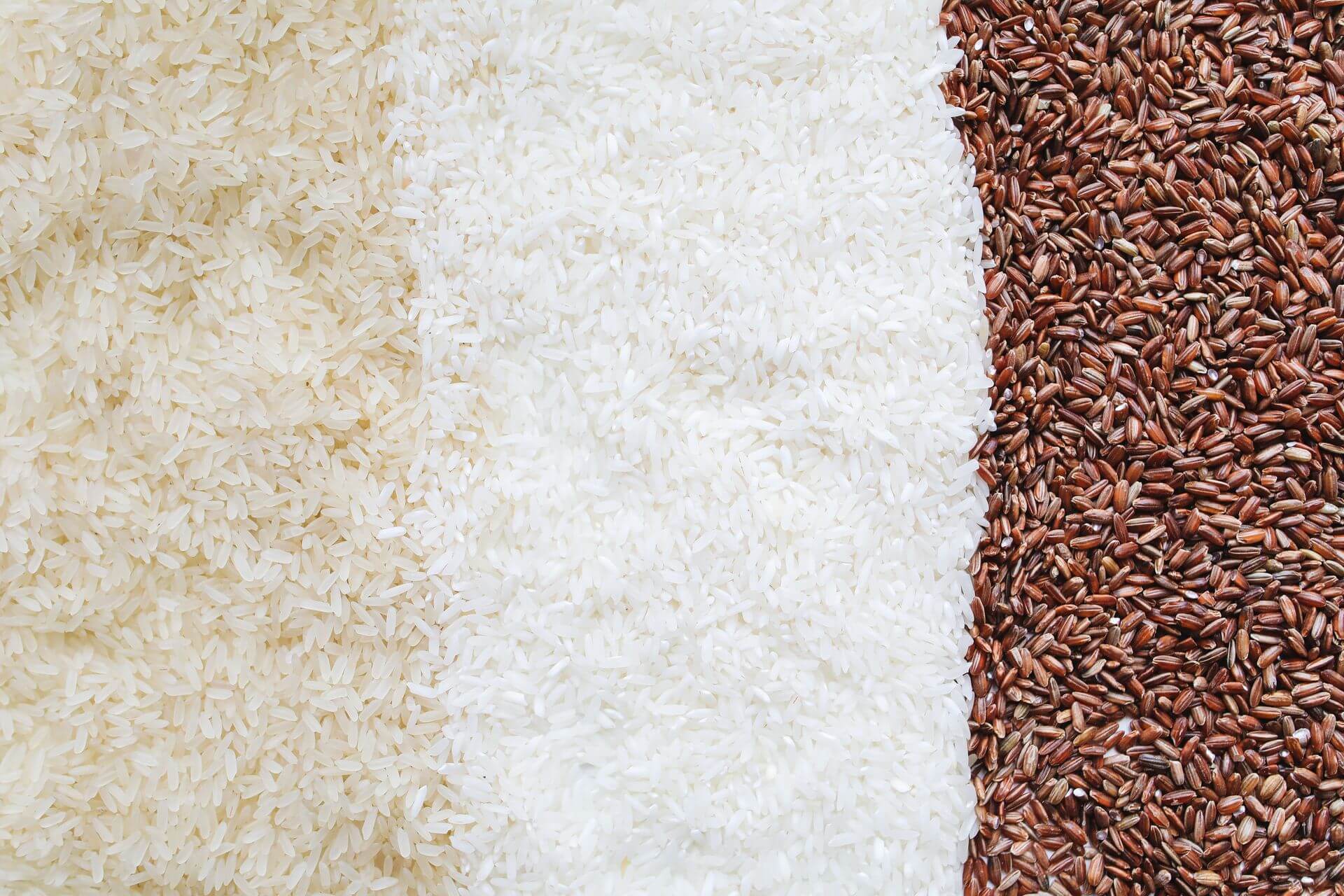 Rice grains ready for export